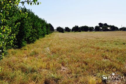 Undeveloped Land in Ector County, Texas