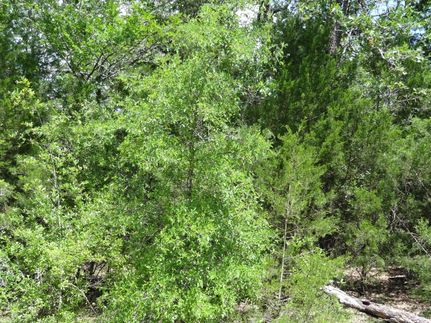 Farm and Ranch in Henderson County, Texas