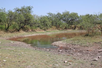 Farm and Ranch in Tom Green County, Texas