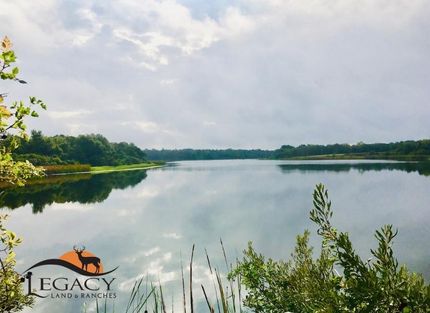 Timberland Property in Limestone County, Texas