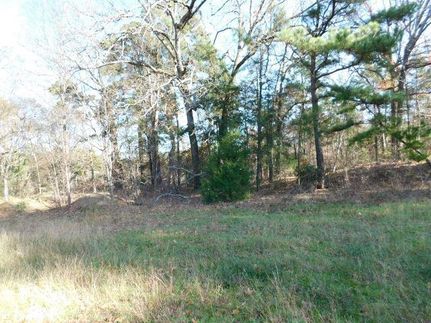 Undeveloped Land in Gregg County, Texas