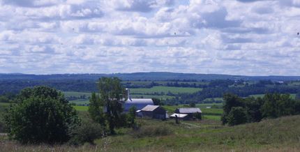 Timberland Property in Montgomery County, New York