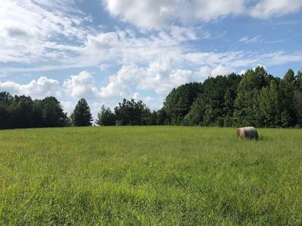 Farm and Ranch in Granville County, North Carolina