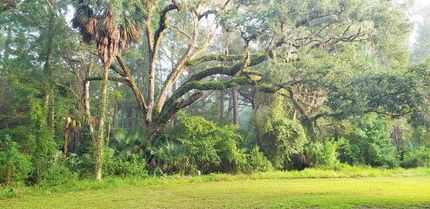 Farm and Ranch in Marion County, Florida