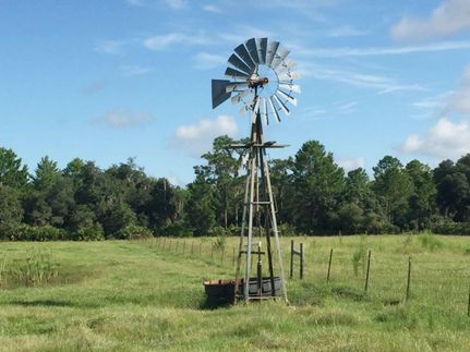 Land in Polk County, Florida