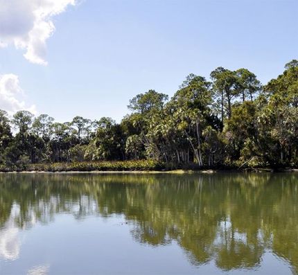 Land in Hernando County, Florida