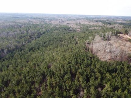 Timberland Property in Coosa County, Alabama
