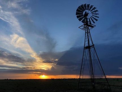 Land in Lea County, New Mexico