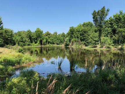 Recreational Property in Red River County, Texas