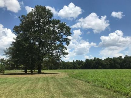 Land in Williamsburg County, South Carolina