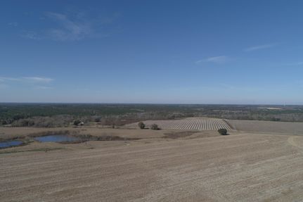Farm and Ranch in Tattnall County, Georgia