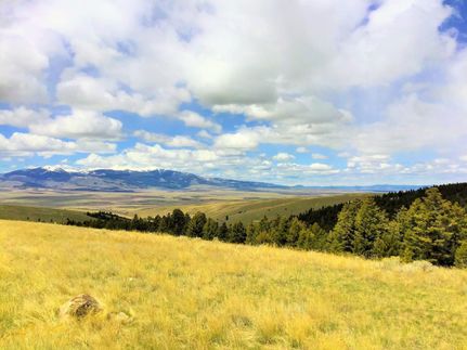 Timberland Property in Deer Lodge County, Montana