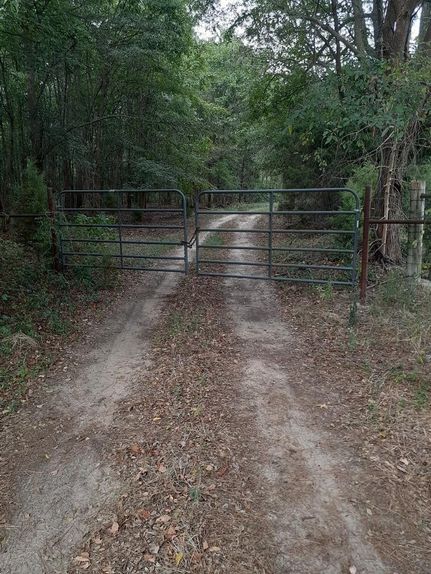 Undeveloped Land in Camp County, Texas