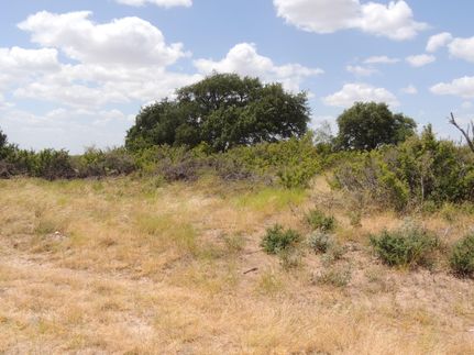 Farm and Ranch in McCulloch County, Texas