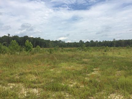 Farm and Ranch in Sussex County, Virginia