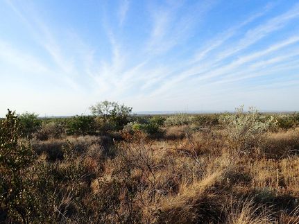Land in Terrell County, Texas