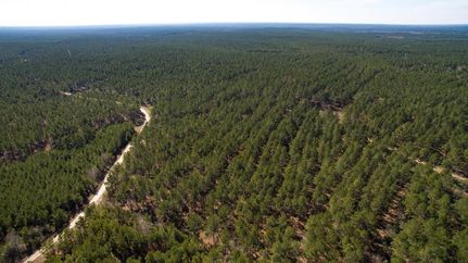 Commercial Property in Trinity County, Texas