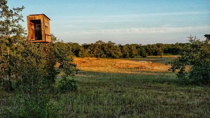 Farm and Ranch in Robertson County, Texas