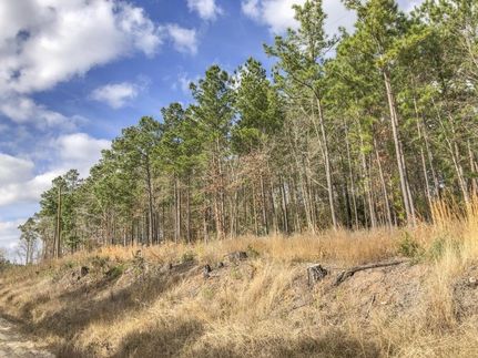 Farm and Ranch in San Jacinto County, Texas