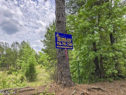 Farm and Ranch in Tyler County, Texas