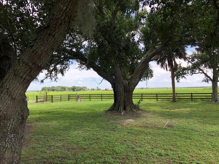 Hunting Property in Okeechobee County, Florida