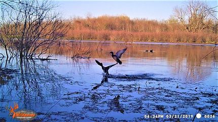 Recreational Property in Bowie County, Texas