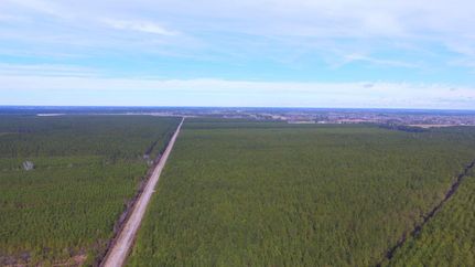Land in Pender County, North Carolina