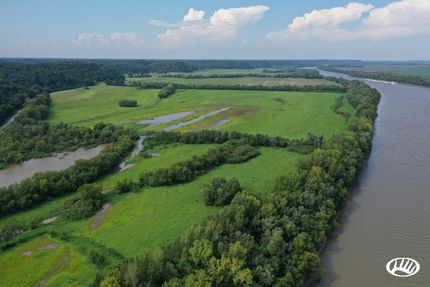 Timberland Property in Calhoun County, Illinois