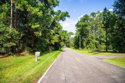 Undeveloped Land in Alachua County, Florida