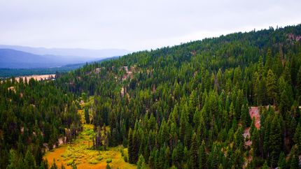 Recreational Property in Valley County, Idaho