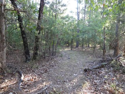 Timberland Property in Perry County, Arkansas