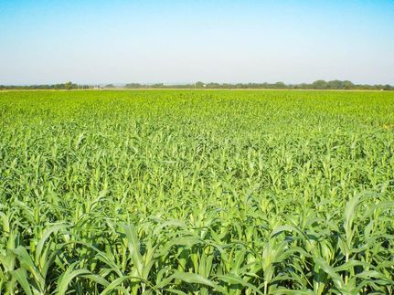 Timberland Property in Grant County, Oklahoma