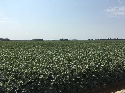 Land in Poinsett County, Arkansas