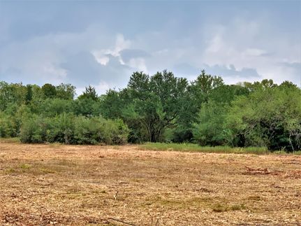 Undeveloped Land in Washington County, Texas