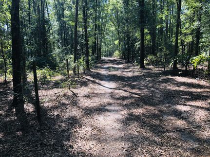 Farm and Ranch in Dale County, Alabama