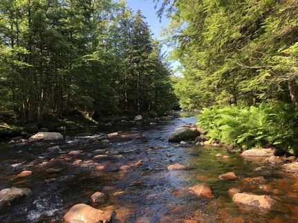 Riverfront Property in Oneida County, New York