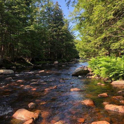 Commercial Property in Oneida County, New York