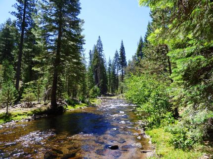 Undeveloped Land in Siskiyou County, California