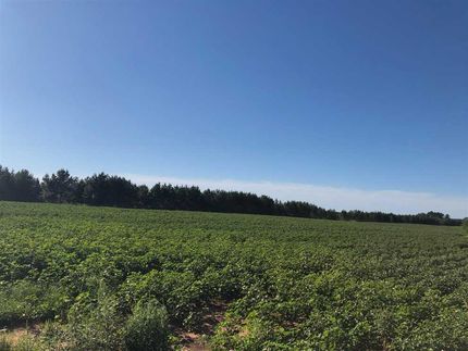 Land in Monroe County, Mississippi