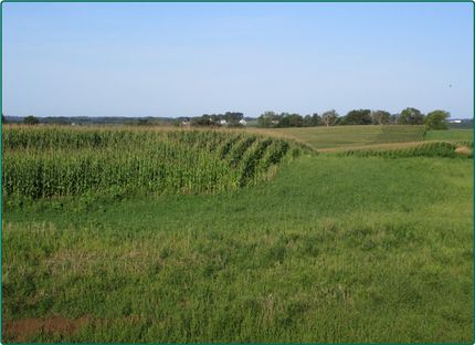 Farm and Ranch in Linn County, Iowa