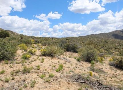Recreational Property in Mohave County, Arizona
