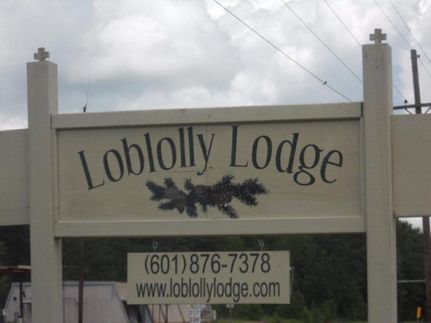 Undeveloped Land in Amite County, Mississippi