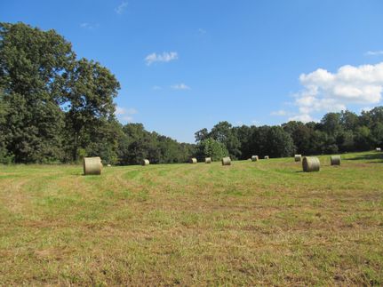 Land in Madison County, Arkansas