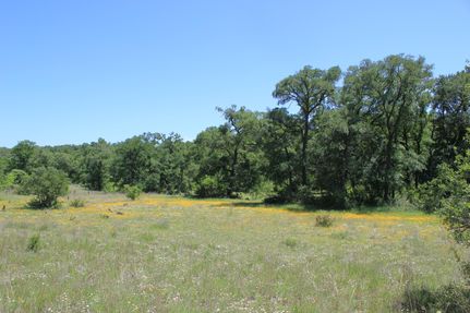 Farm and Ranch in Hays County, Texas