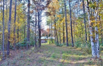 Land in Amite County, Mississippi