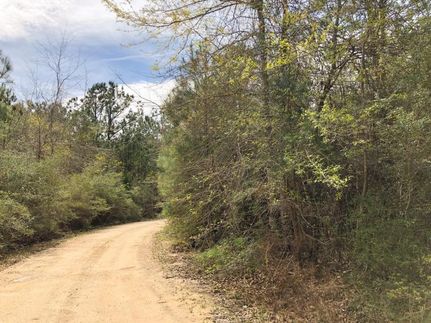 Undeveloped Land in Newton County, Texas