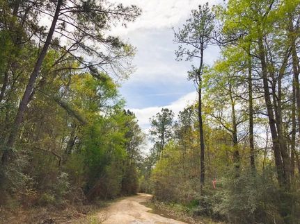 Farm and Ranch in Newton County, Texas