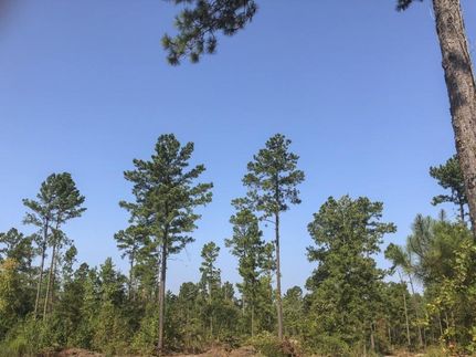 Land in Upshur County, Texas