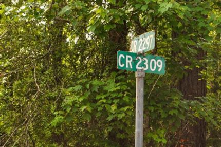 Timberland Property in Liberty County, Texas