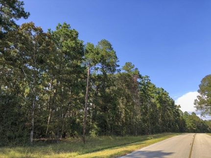 Timberland Property in San Jacinto County, Texas